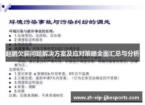 赵鹏欠薪问题解决方案及应对策略全面汇总与分析