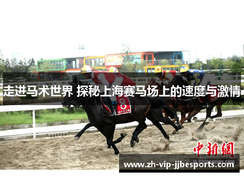 走进马术世界 探秘上海赛马场上的速度与激情